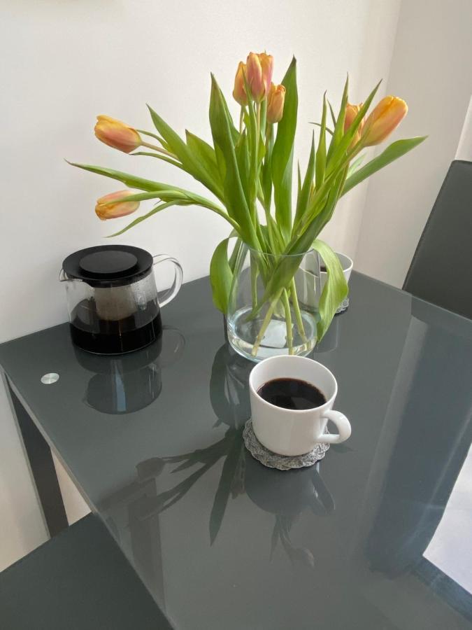 Lovely And Modern Studio Apartment. Борхамуд Екстериор снимка